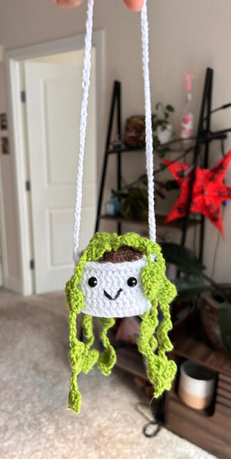 Crochet Plant